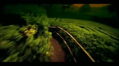 negrita in ogni atomo