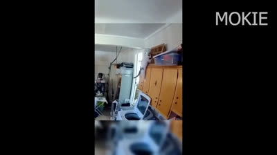 Humor 2024: Momentos graciosos que te harán reventar de risa