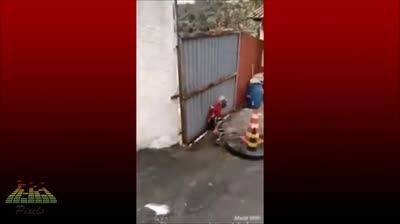 Laugh Non-Stop! The Funniest Moments of 2024 You Must Watch