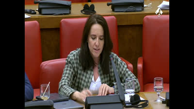 DEBATE AYUDAS FUNCIONAMIENTO EN CONGRESO DE LOS DIPUTADOS