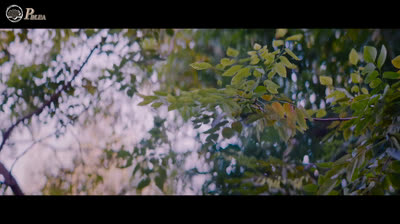 [BL VOSTFR] AFTER SUNDOWN Film complet